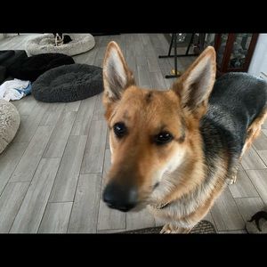 Meet your Posher, Karla